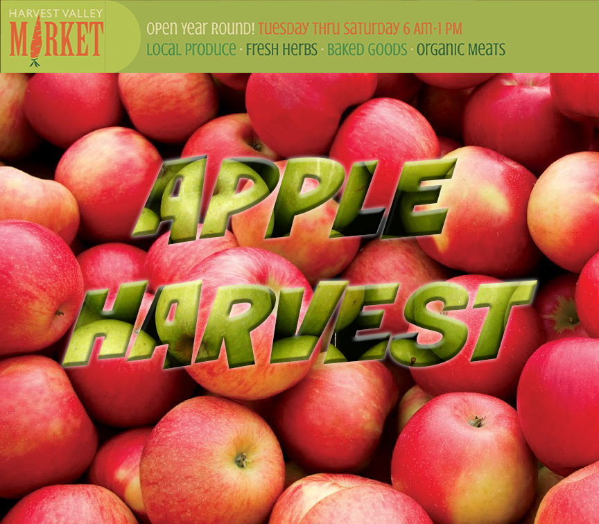 apple harvest image created in Photoshop